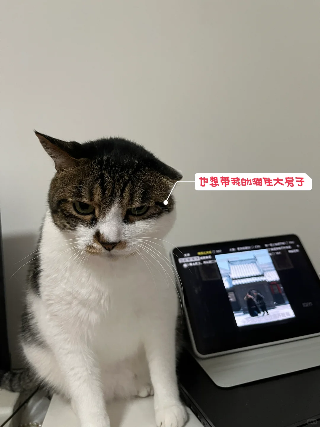 暂停买房计划！