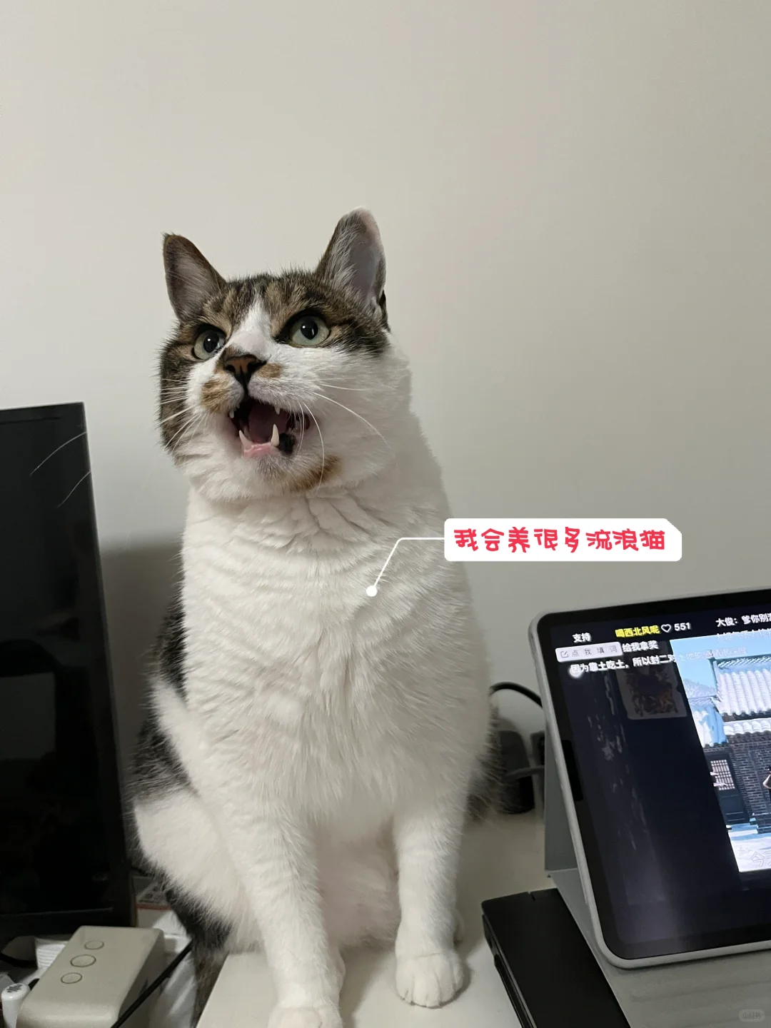 暂停买房计划！