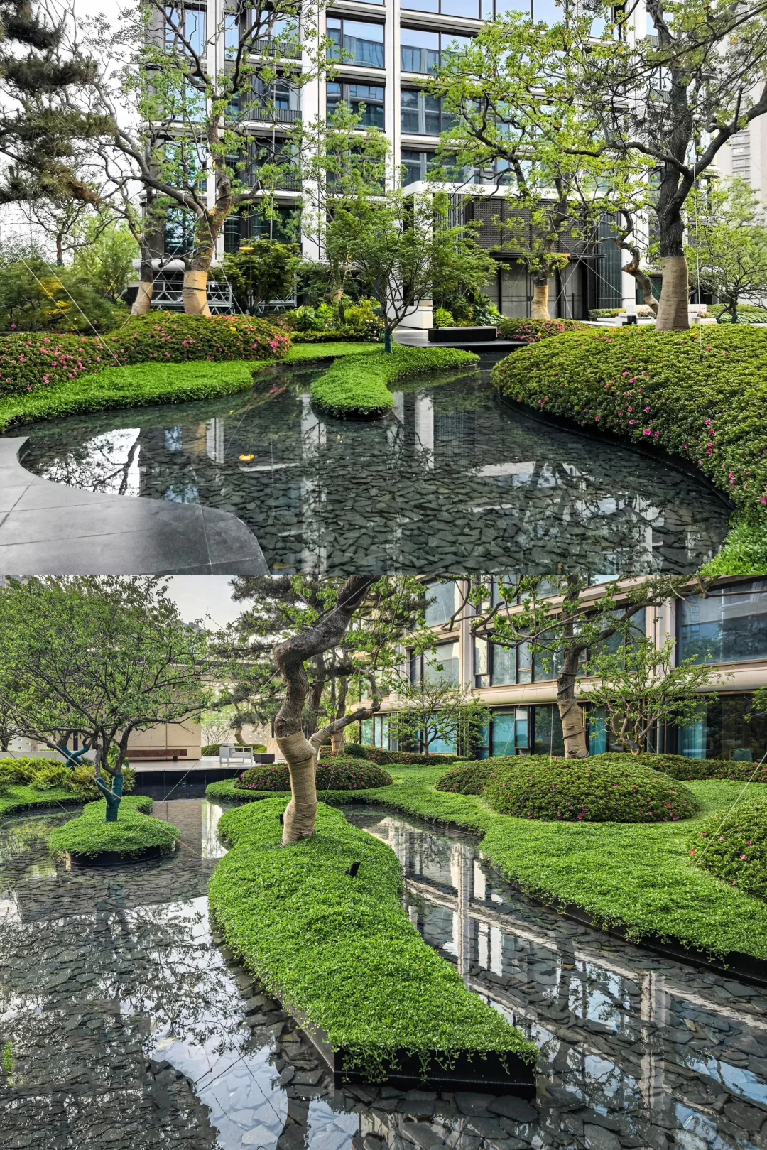 🌿洋房变“氧房”｜低密但不低调🏡