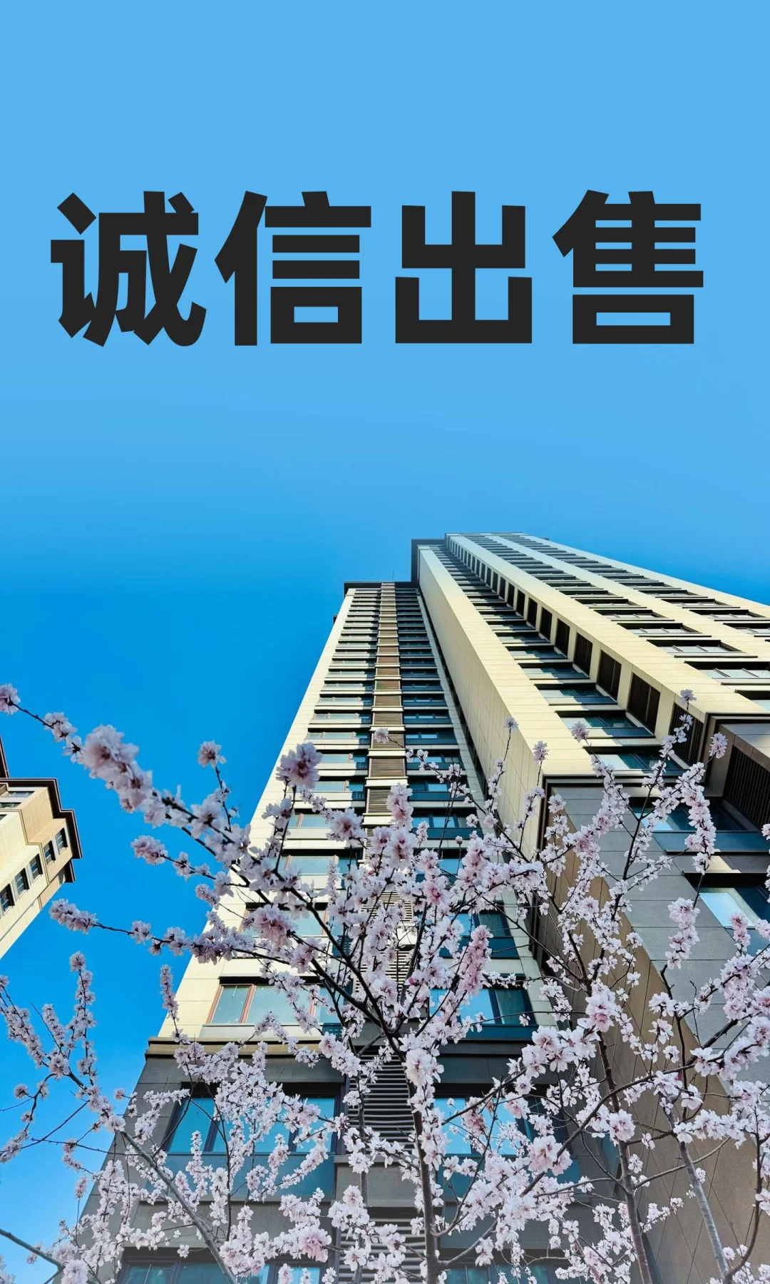 诚信出售