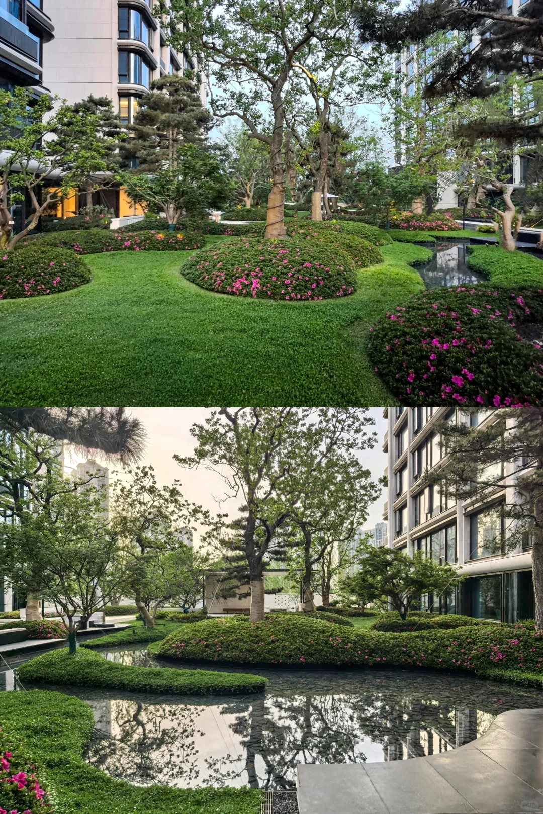 🌿洋房变“氧房”｜低密但不低调🏡