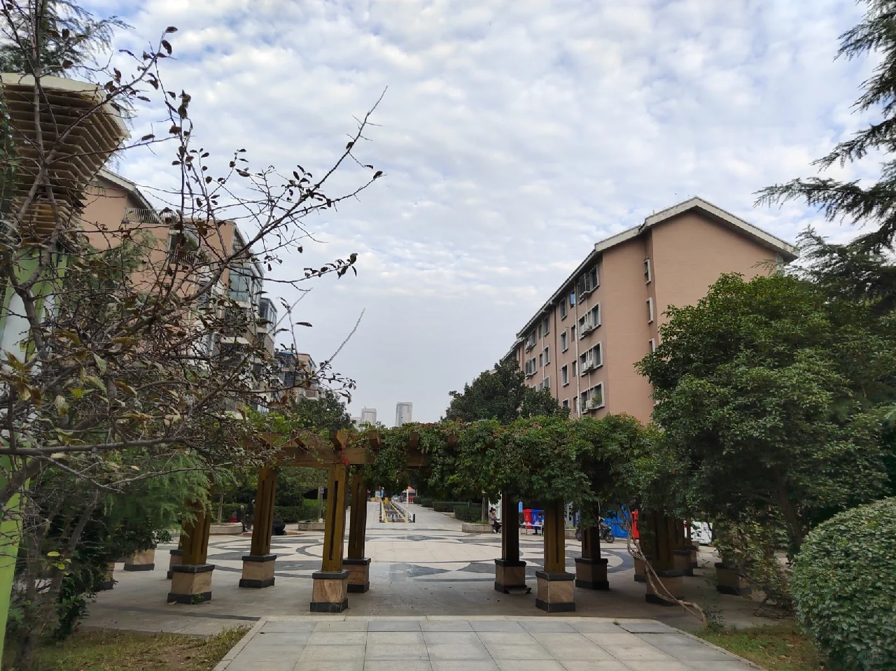 市政府旁，多层变洋房