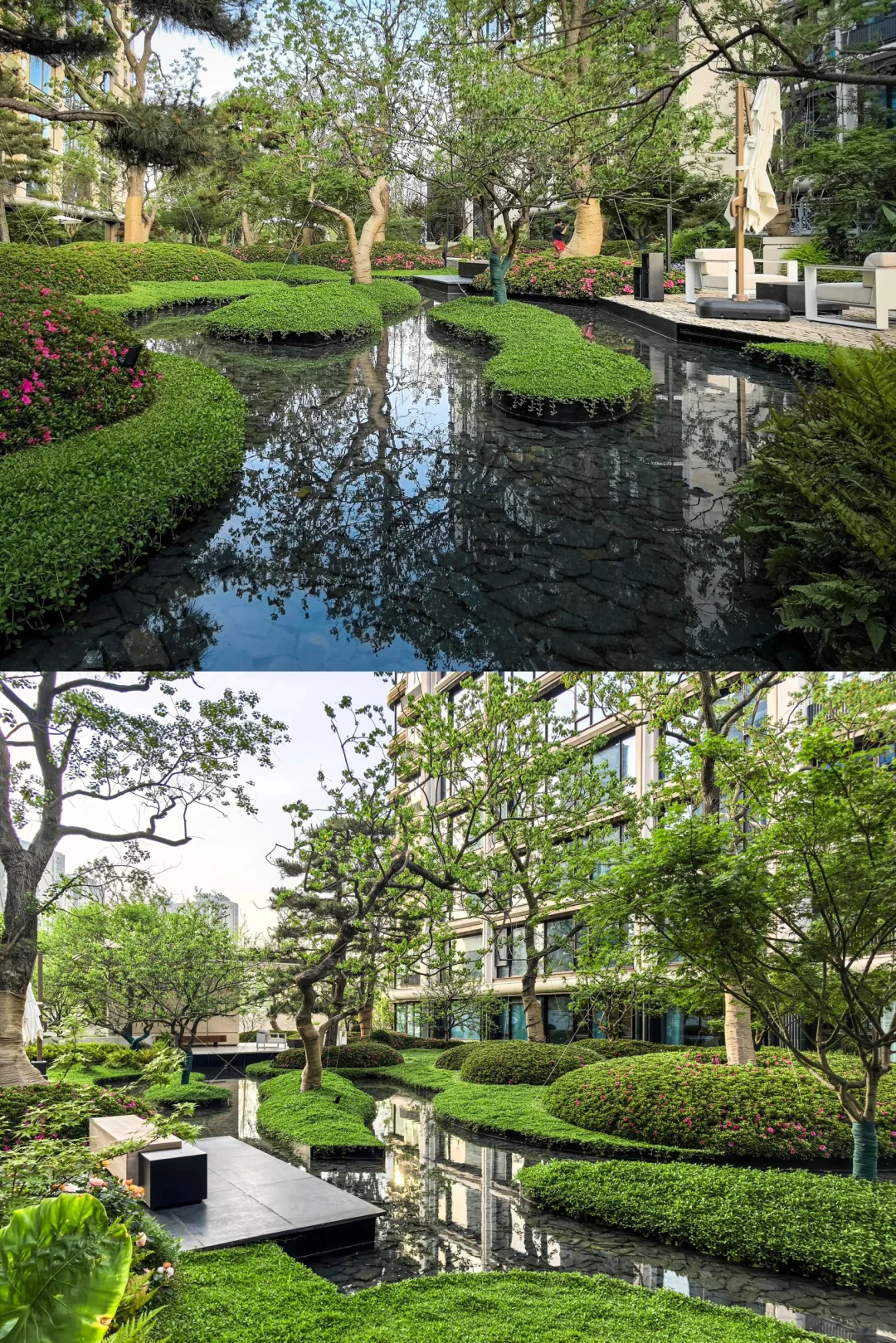 🌿洋房变“氧房”｜低密但不低调🏡