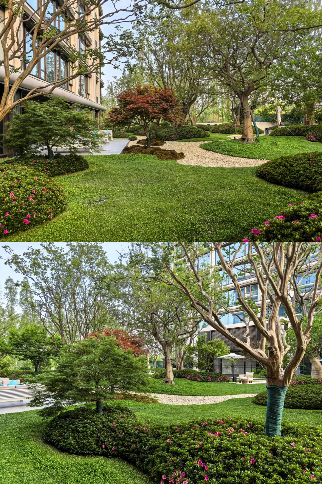🌿洋房变“氧房”｜低密但不低调🏡