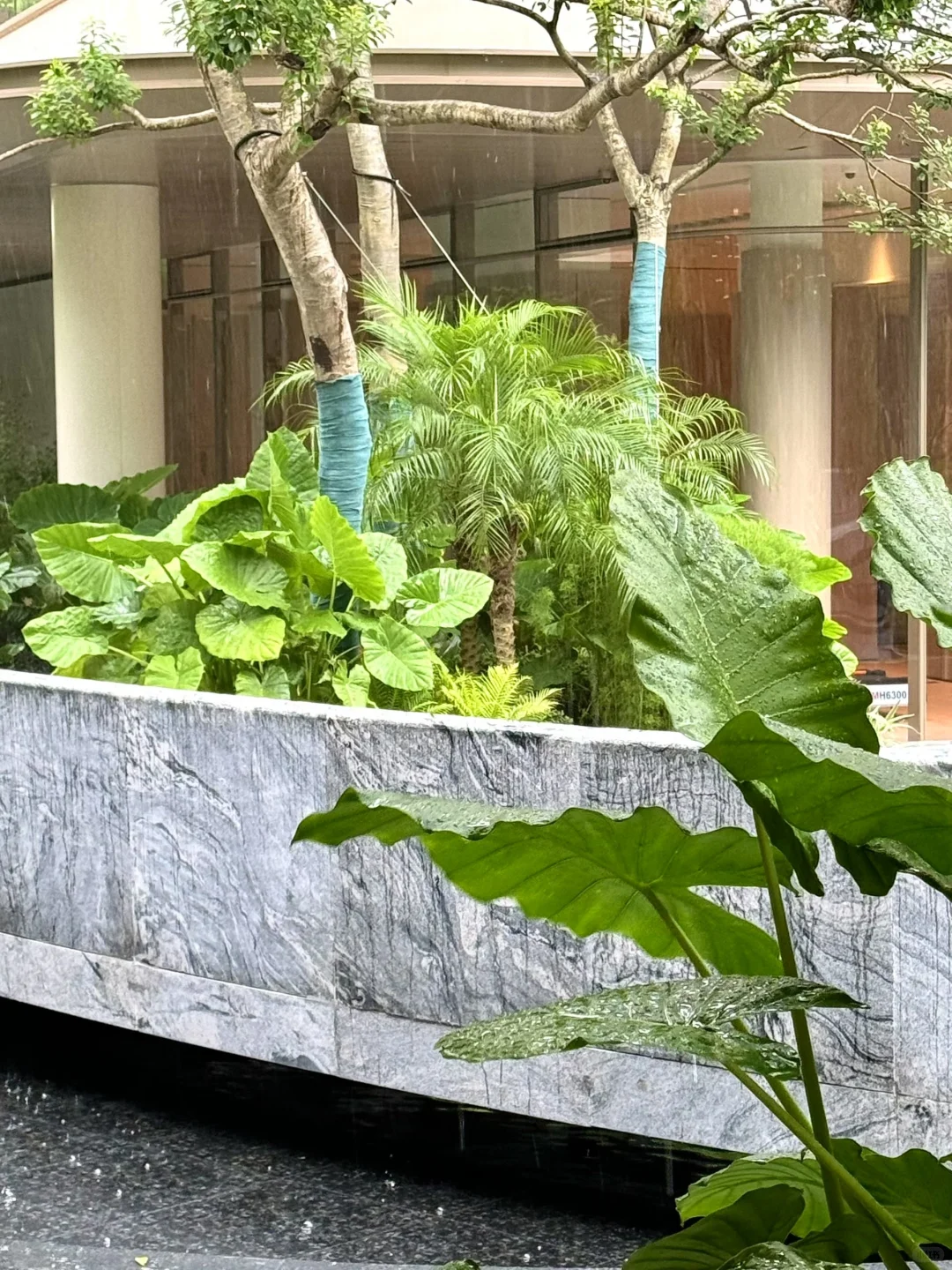 梅溪湖的新规楼盘-招商揽阅（轻奢感拉满）