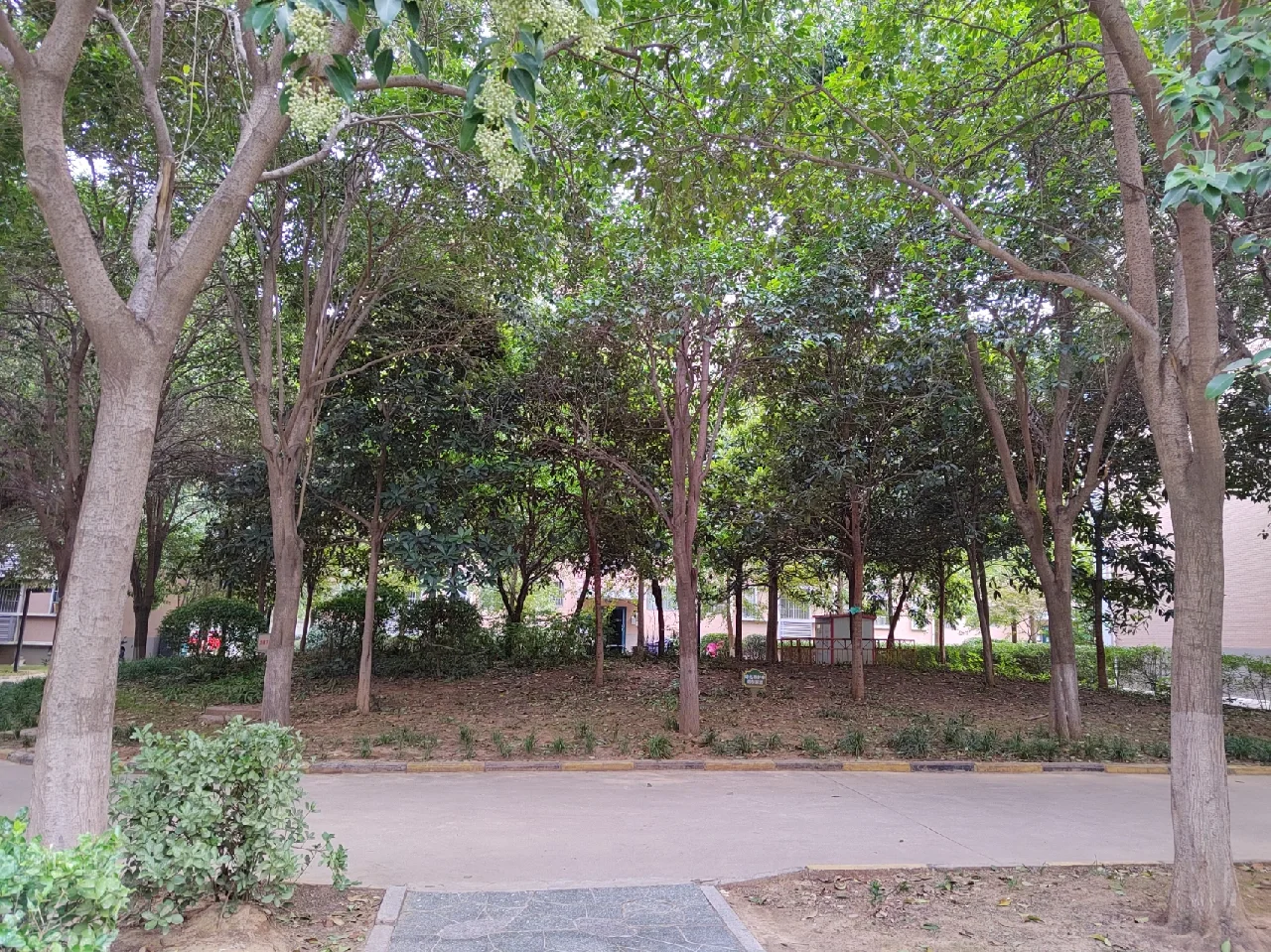 市政府旁，多层变洋房
