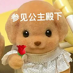 魅魔老师