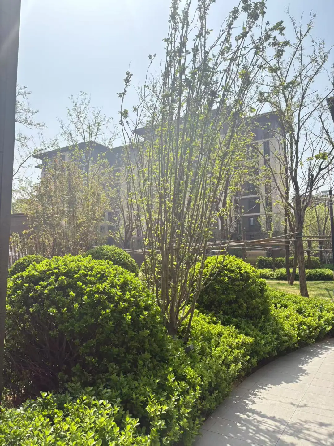 邂逅理想洋房，住进森林氧吧