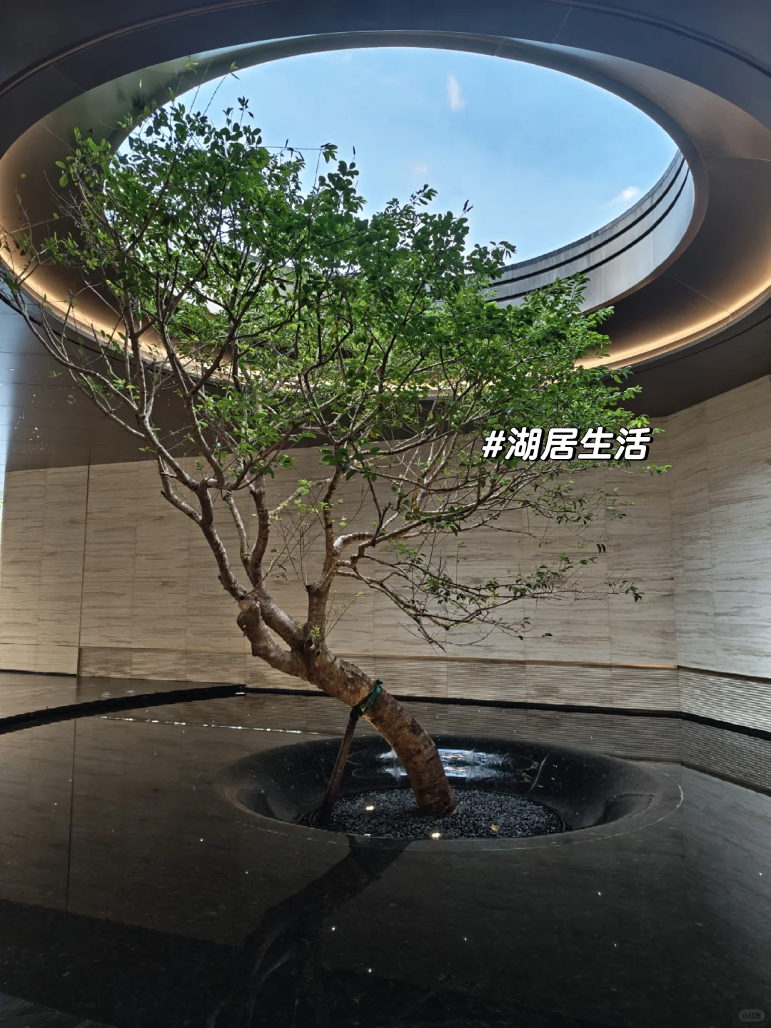 听说小红书能卖房！天河观樾业主自卖