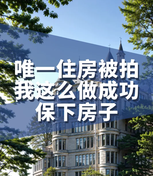 唯一住房被拍卖我这么做成功保下房子