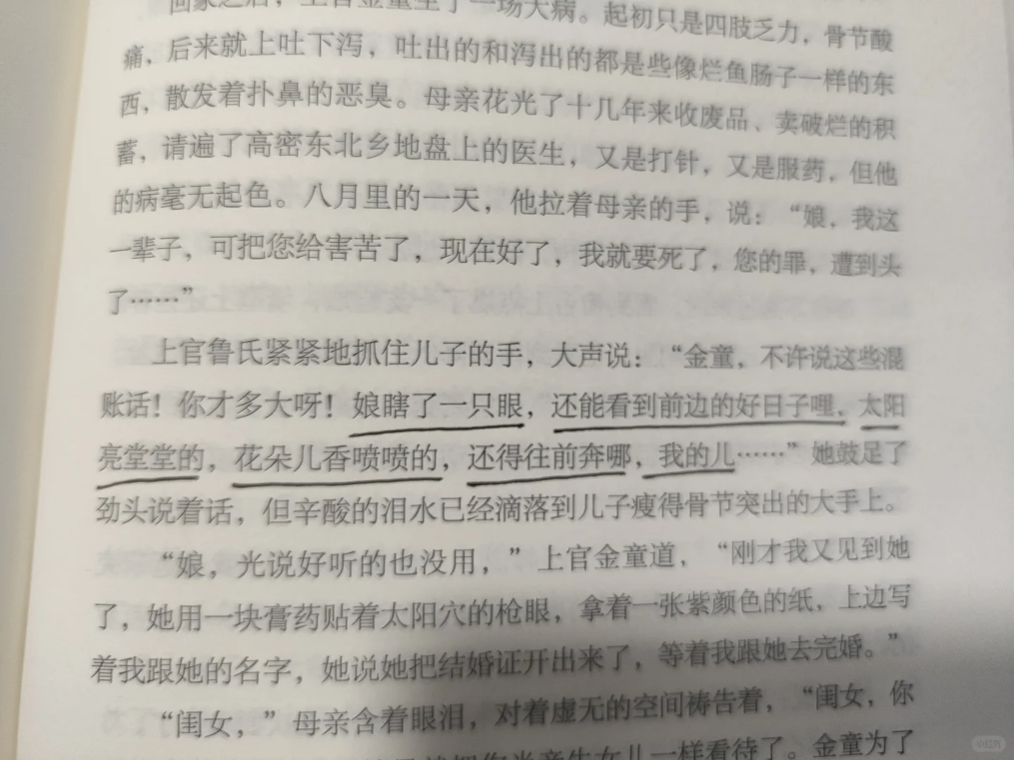 被误解的“丰乳肥臀