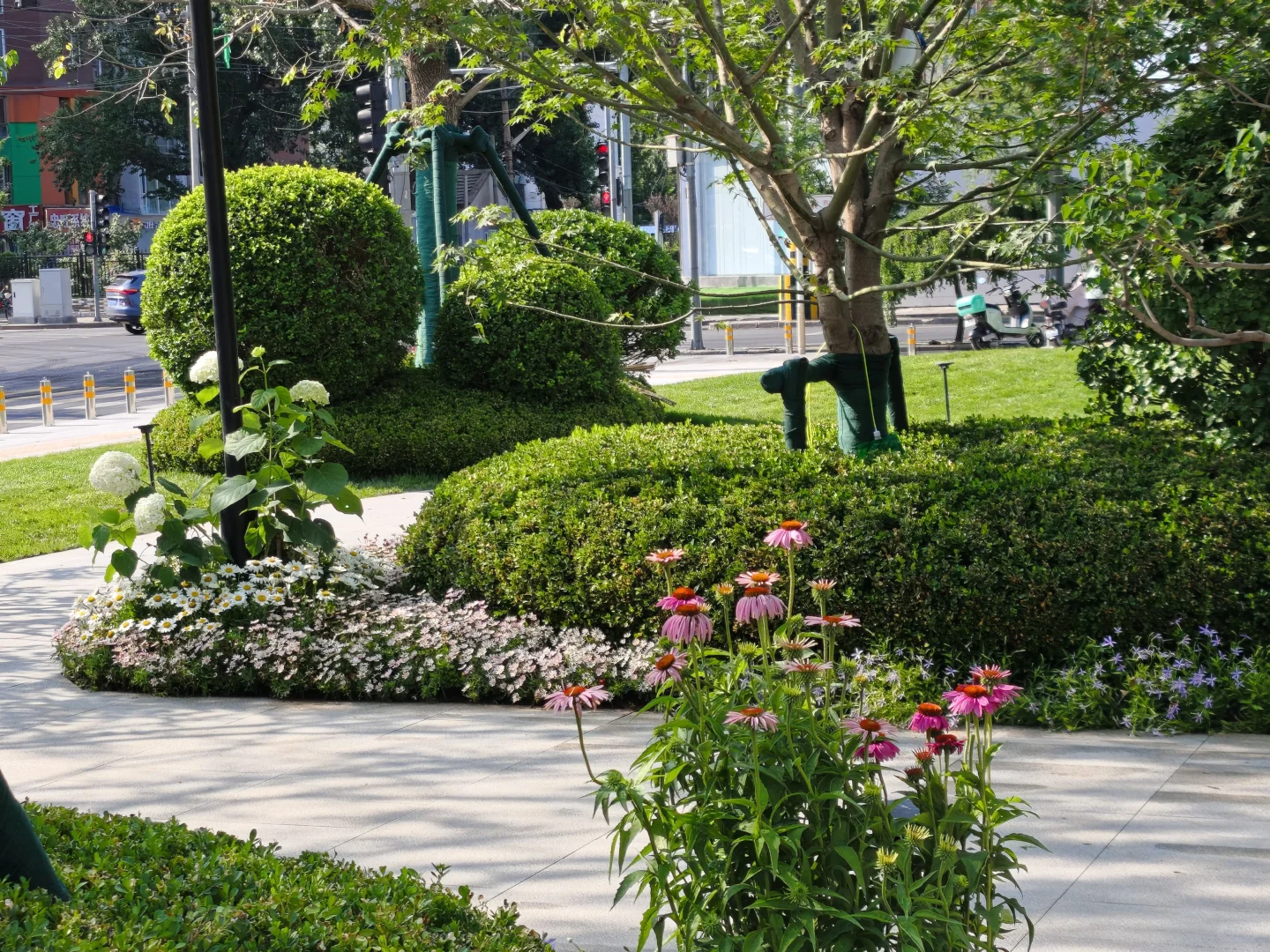 6月初北京做的灰绿系地产示范区花境