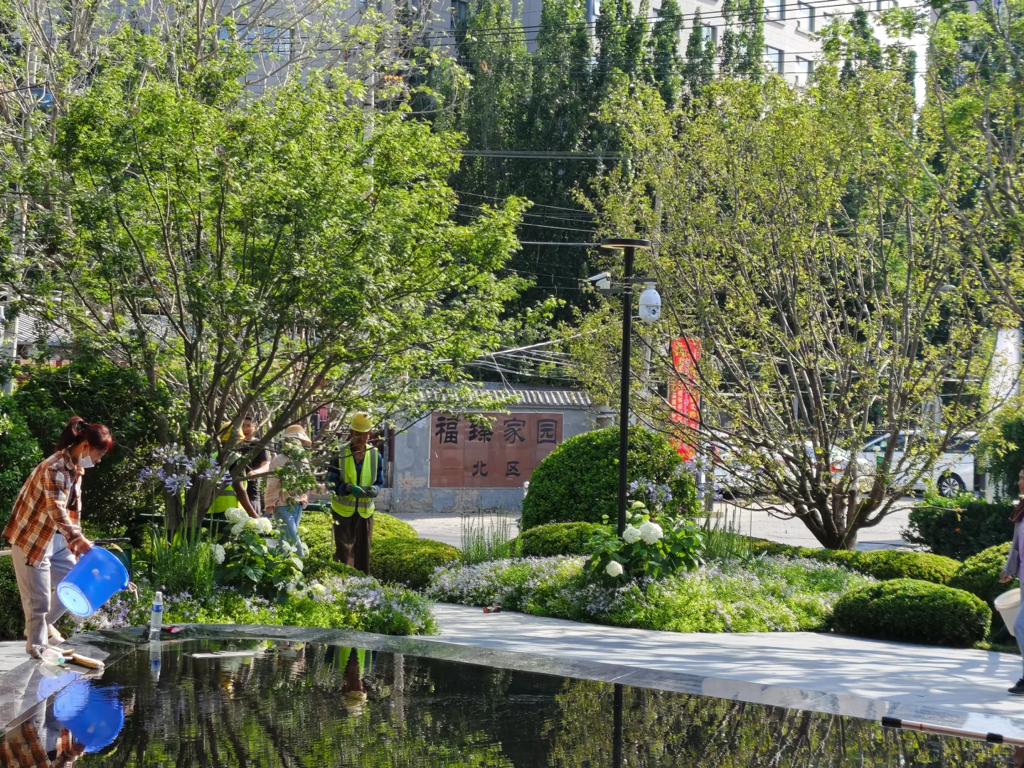 6月初北京做的灰绿系地产示范区花境
