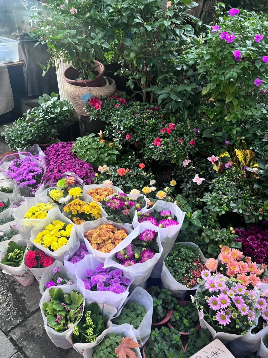 眼花缭乱
