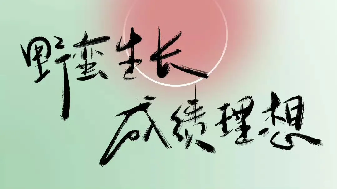 横屏电脑高清壁纸💻