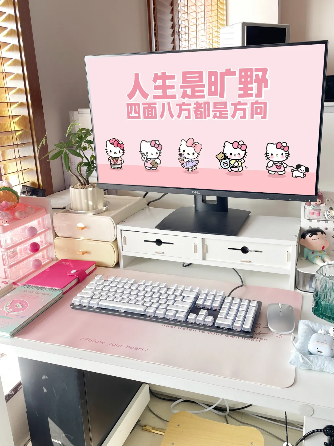 打工日记 | 人生是狂野，处处是方向❗