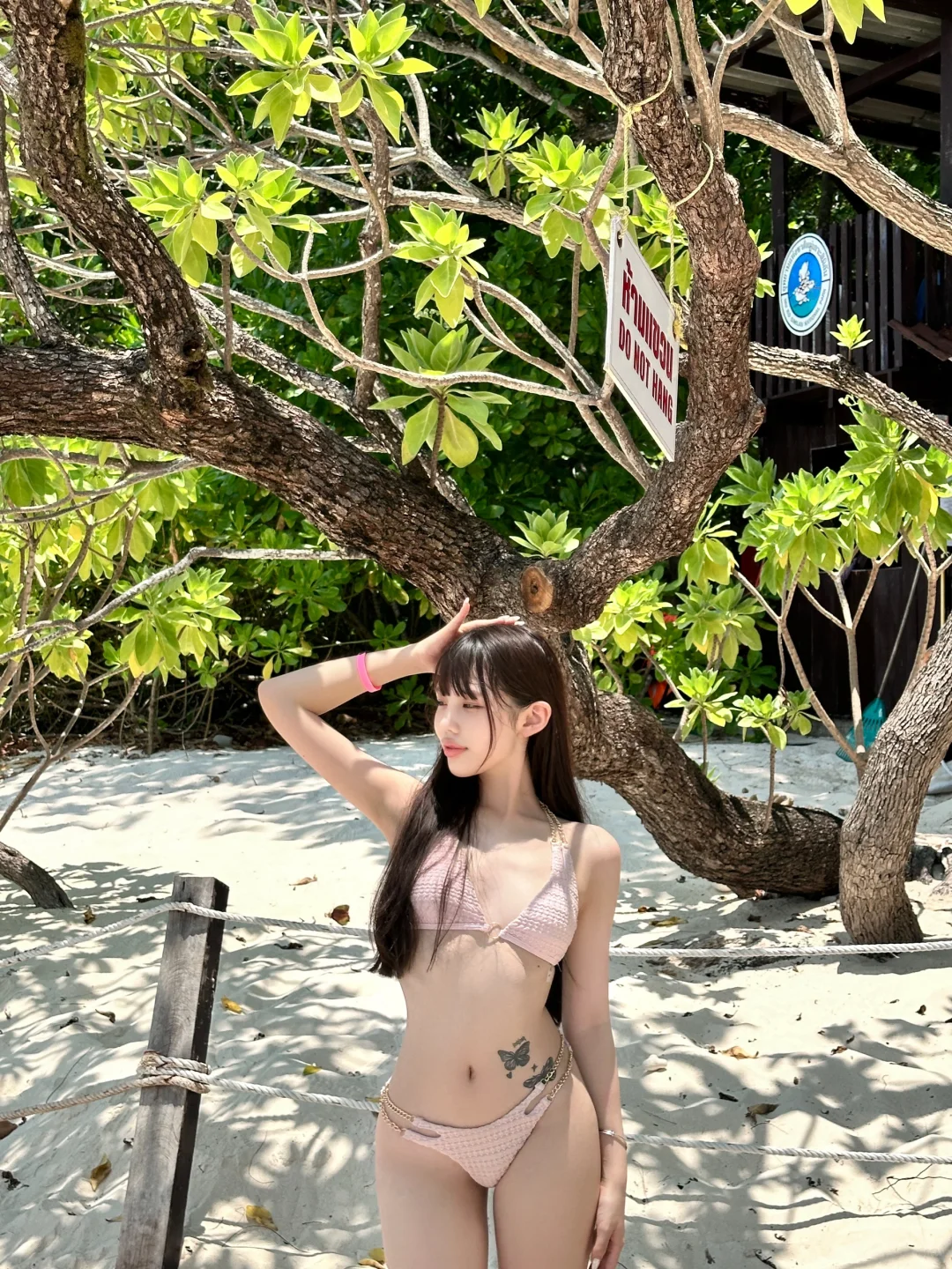 斯米兰岛的夏天☀️🌊