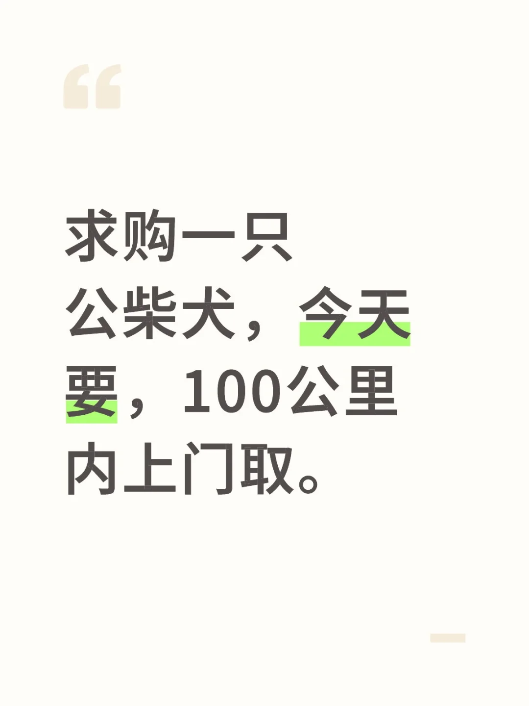 求购一只公柴犬，今天要，100公里内上门取
