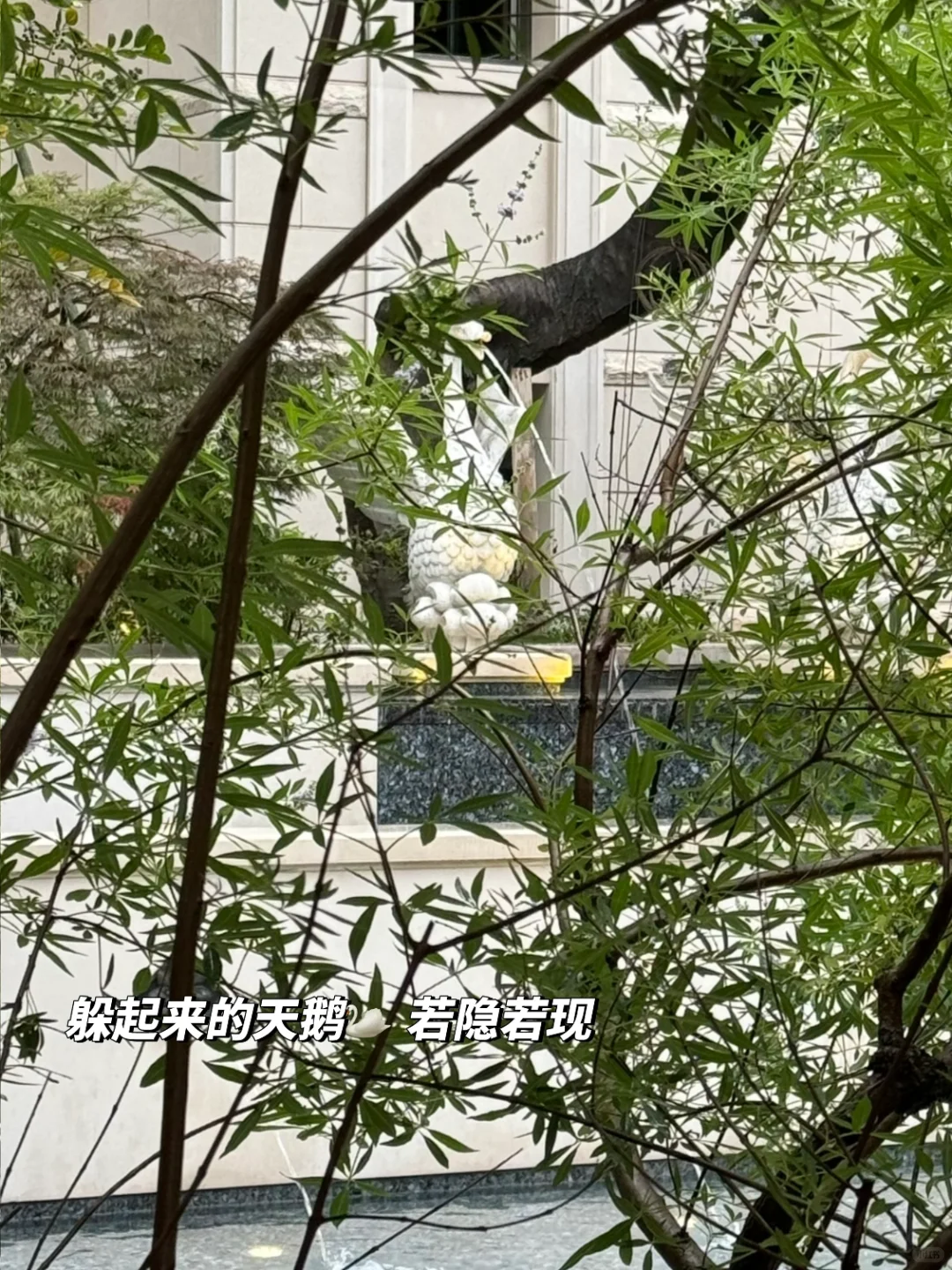 预看房啦~开心的一天