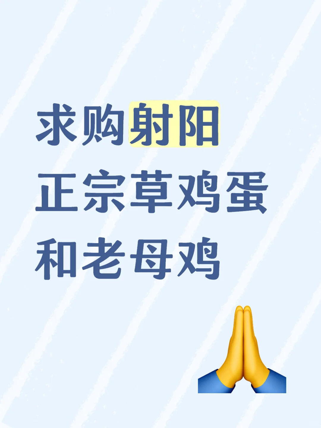 求购射阳正宗草鸡蛋和老母鸡