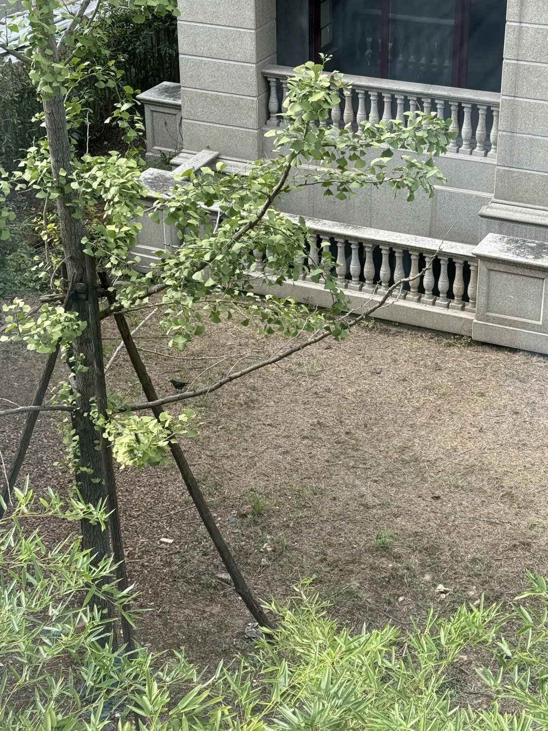 独栋别墅｜我家窗里是繁华，窗外是风景