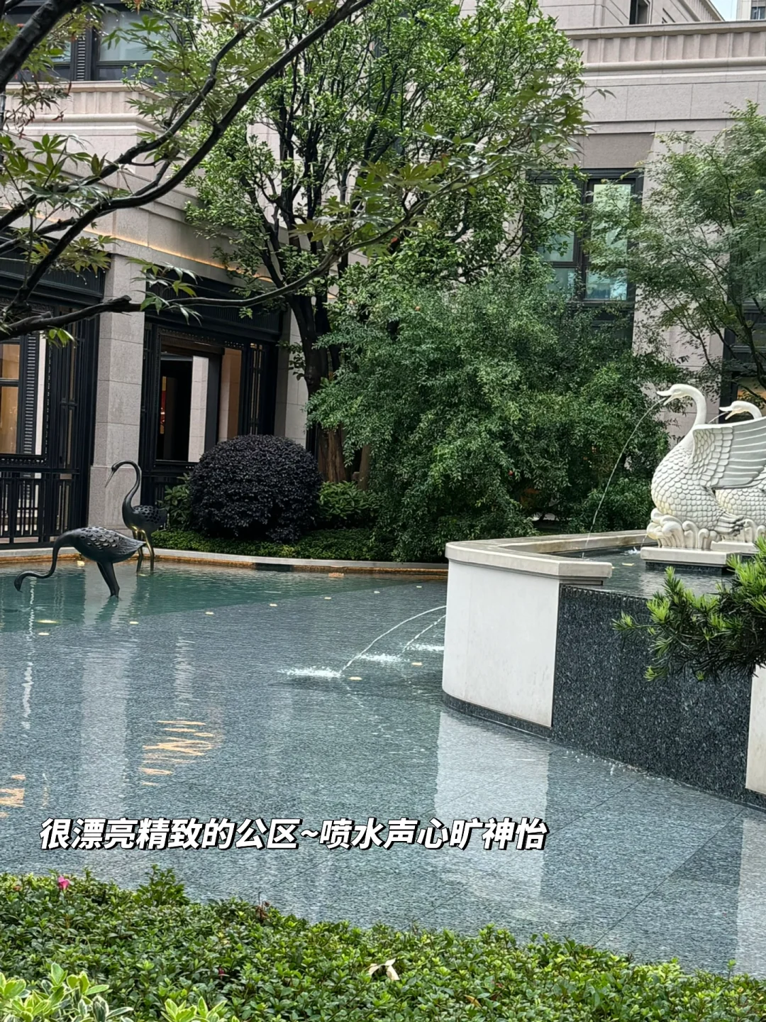 预看房啦~开心的一天