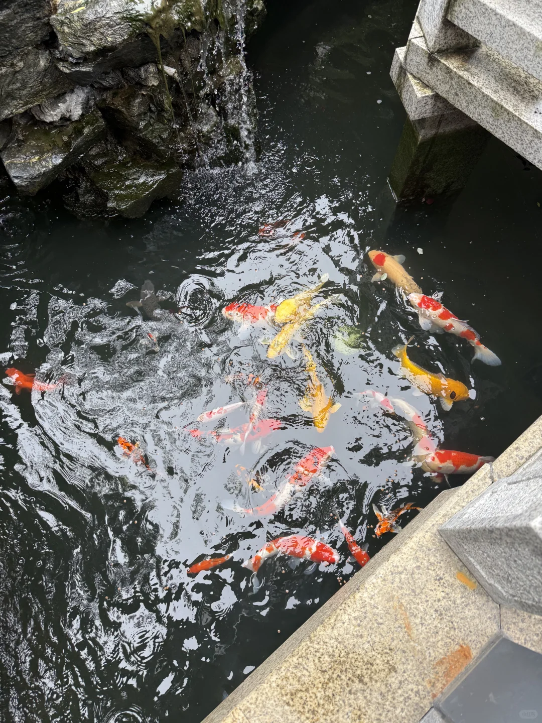独栋别墅｜我家窗里是繁华，窗外是风景