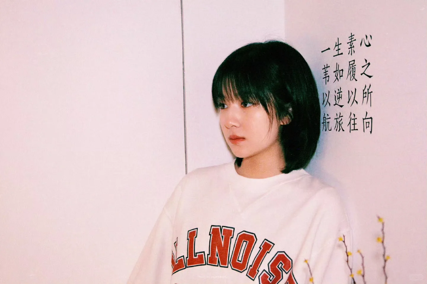 壁纸推荐平板电脑
