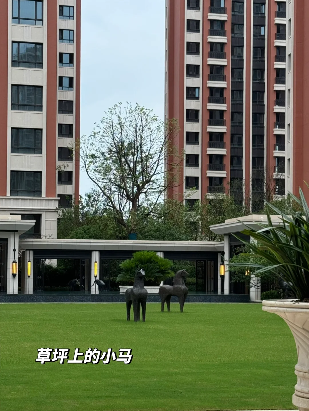 预看房啦~开心的一天