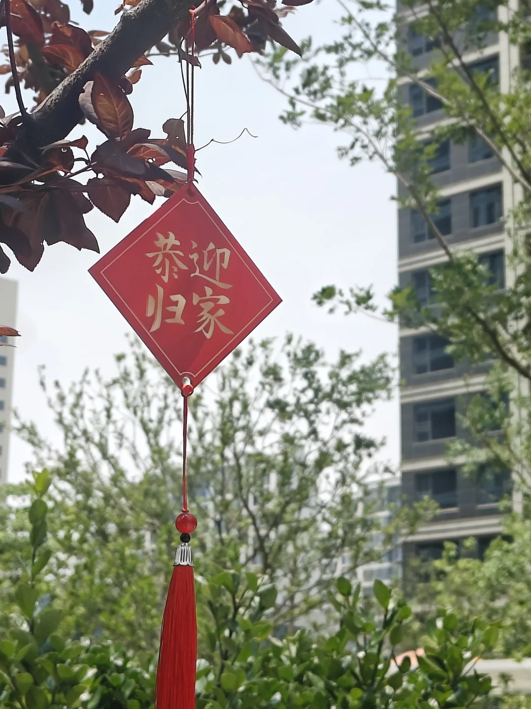 选个好天气，一起预看房