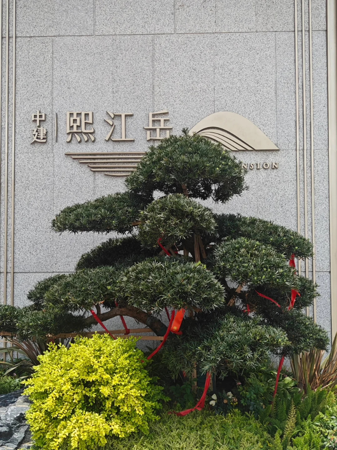 选个好天气，一起预看房