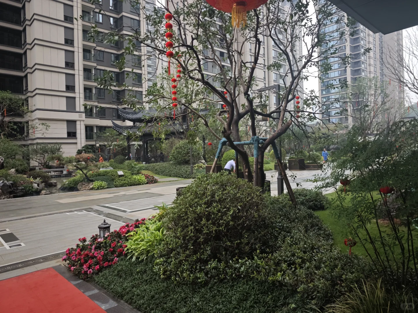 建发观澜