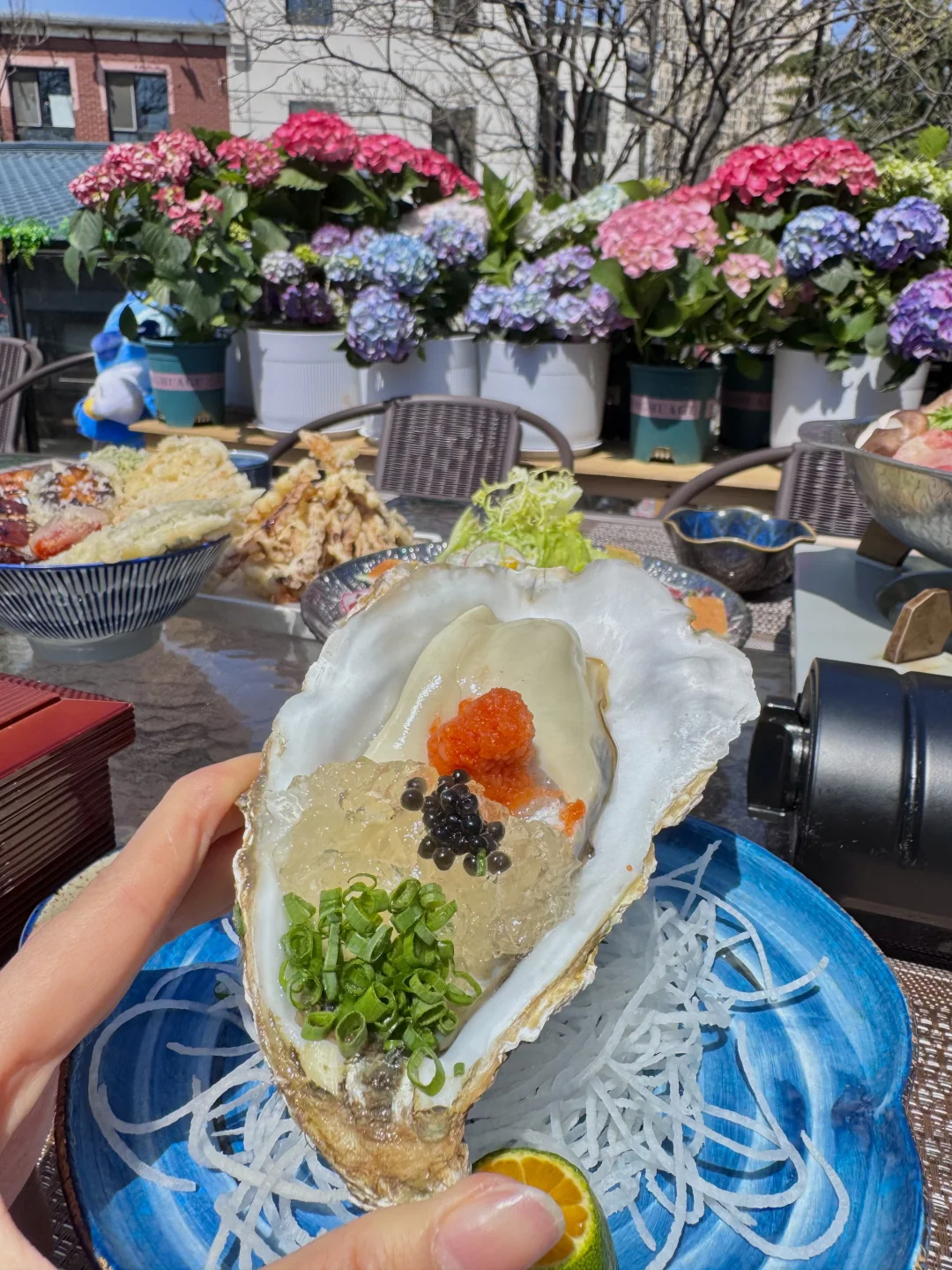 春暖花开 带女朋友吃漂亮饭🌸