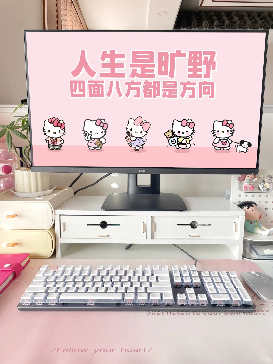 打工日记 | 人生是狂野，处处是方向❗