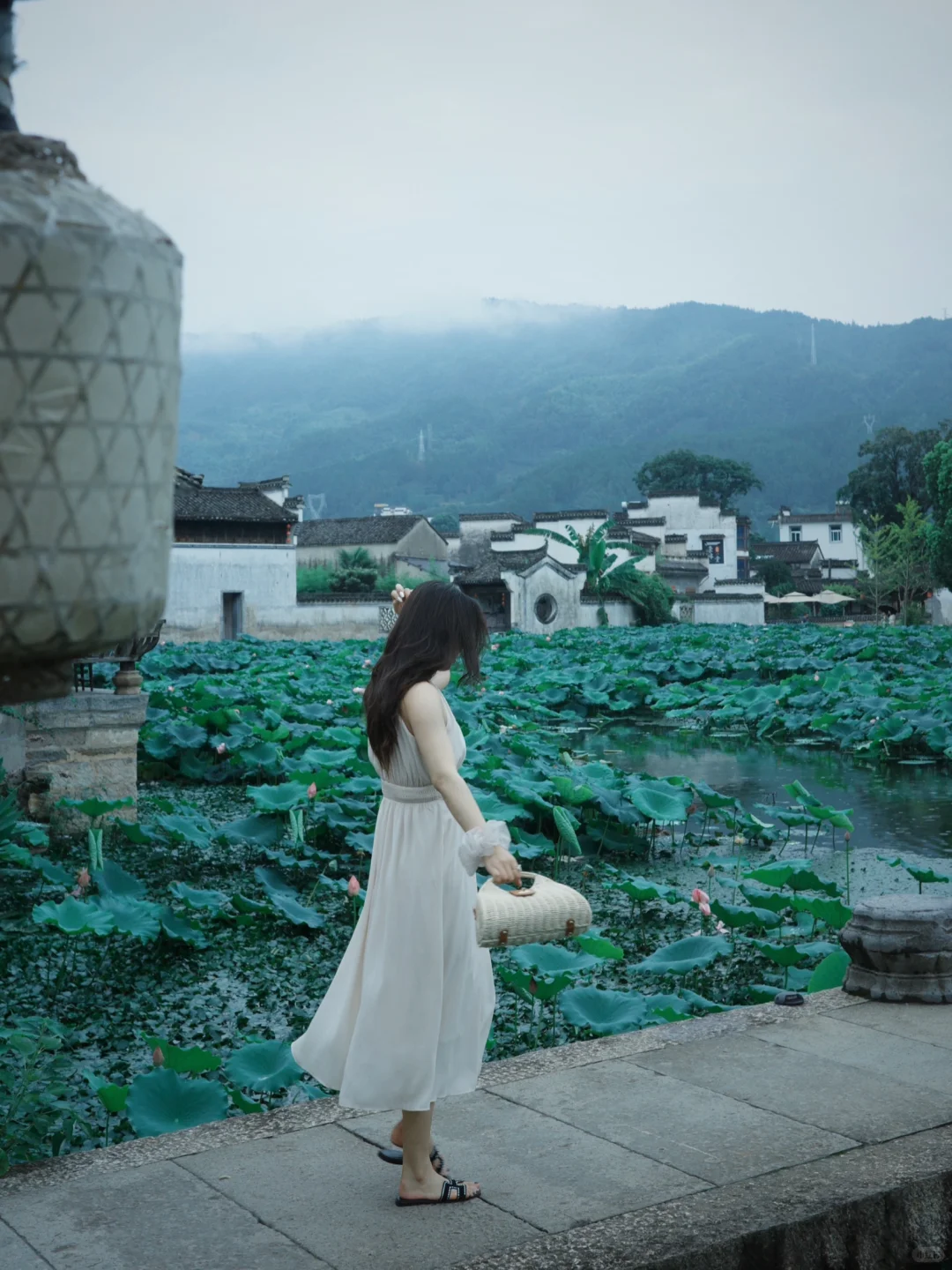 呈坎｜烟雨中荷花更娇艳了