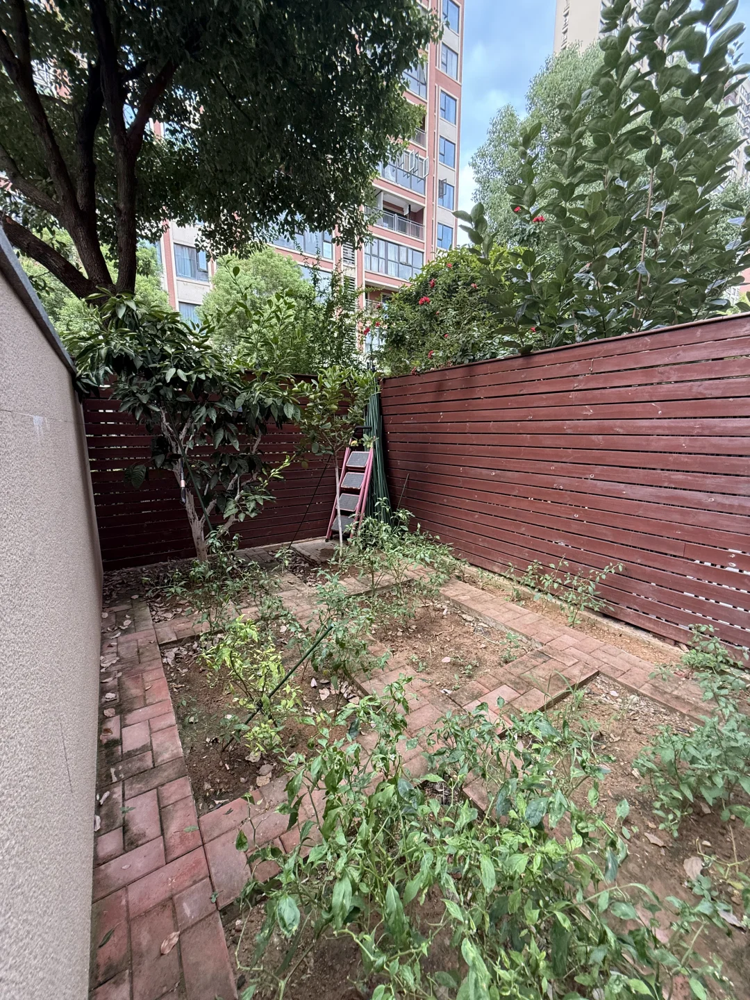 电梯洋房，大平层，带花园，实景现拍❗️