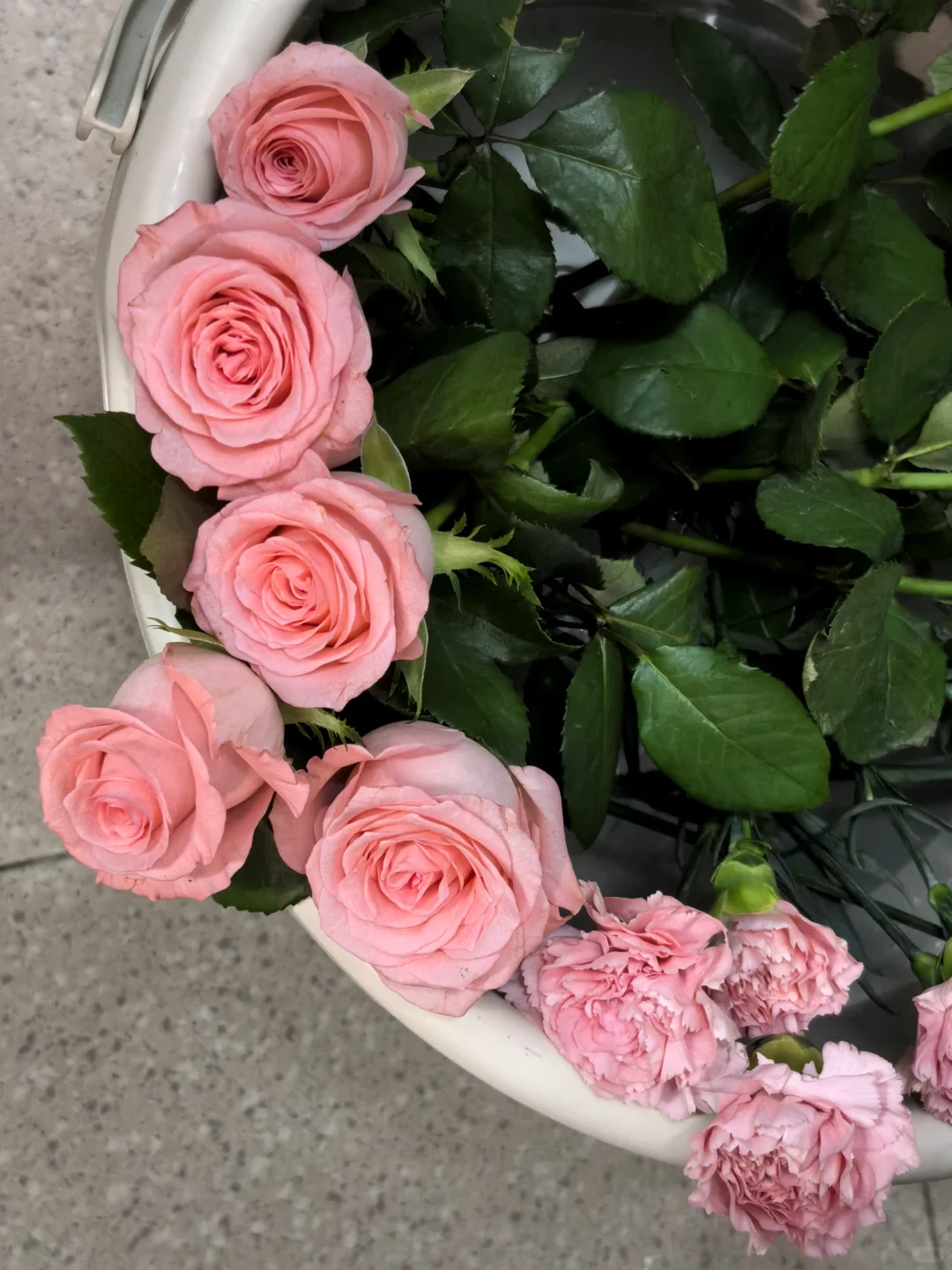 终于明白了何谓娇艳💖
