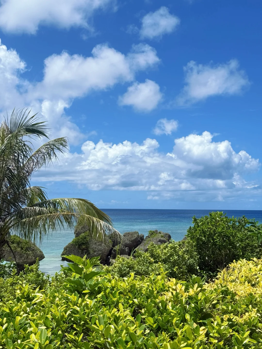👩🏽在海边🏖️怎么能没有比基尼呢👙