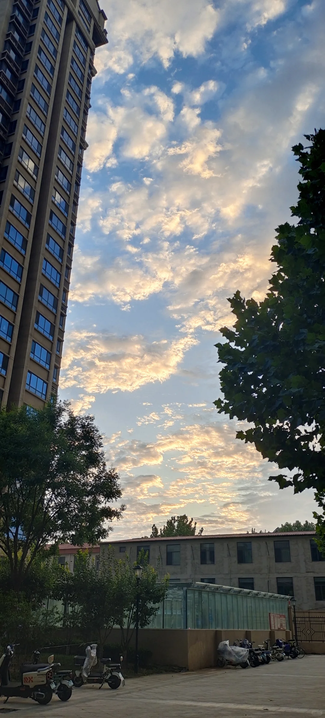 很好看有没有✌️