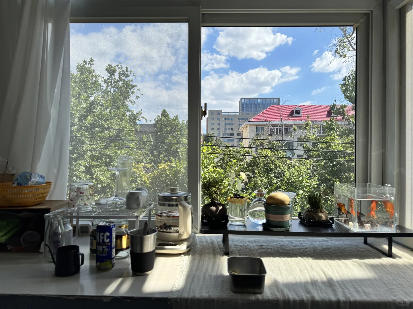 能在庄里租到这样的房子是什么感觉🏠