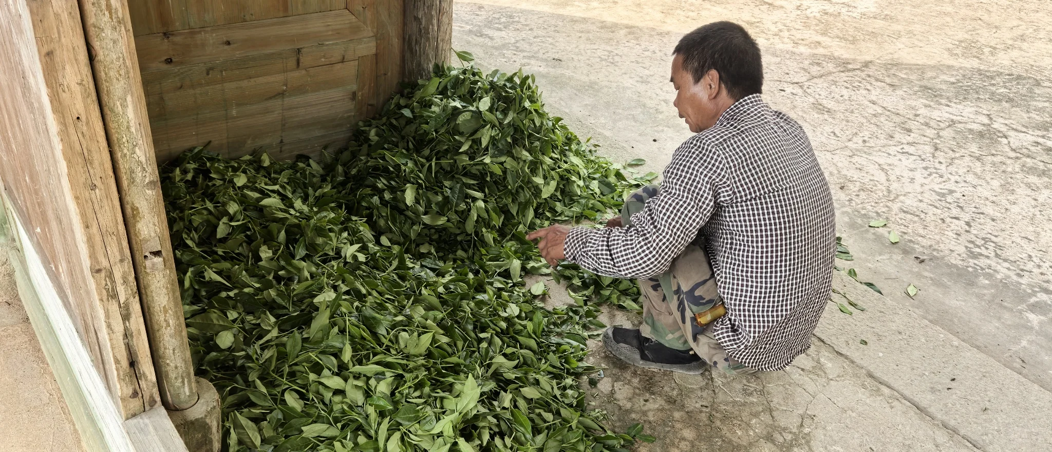 宁德柘荣穷山僻壤？300年前就有巨富豪宅