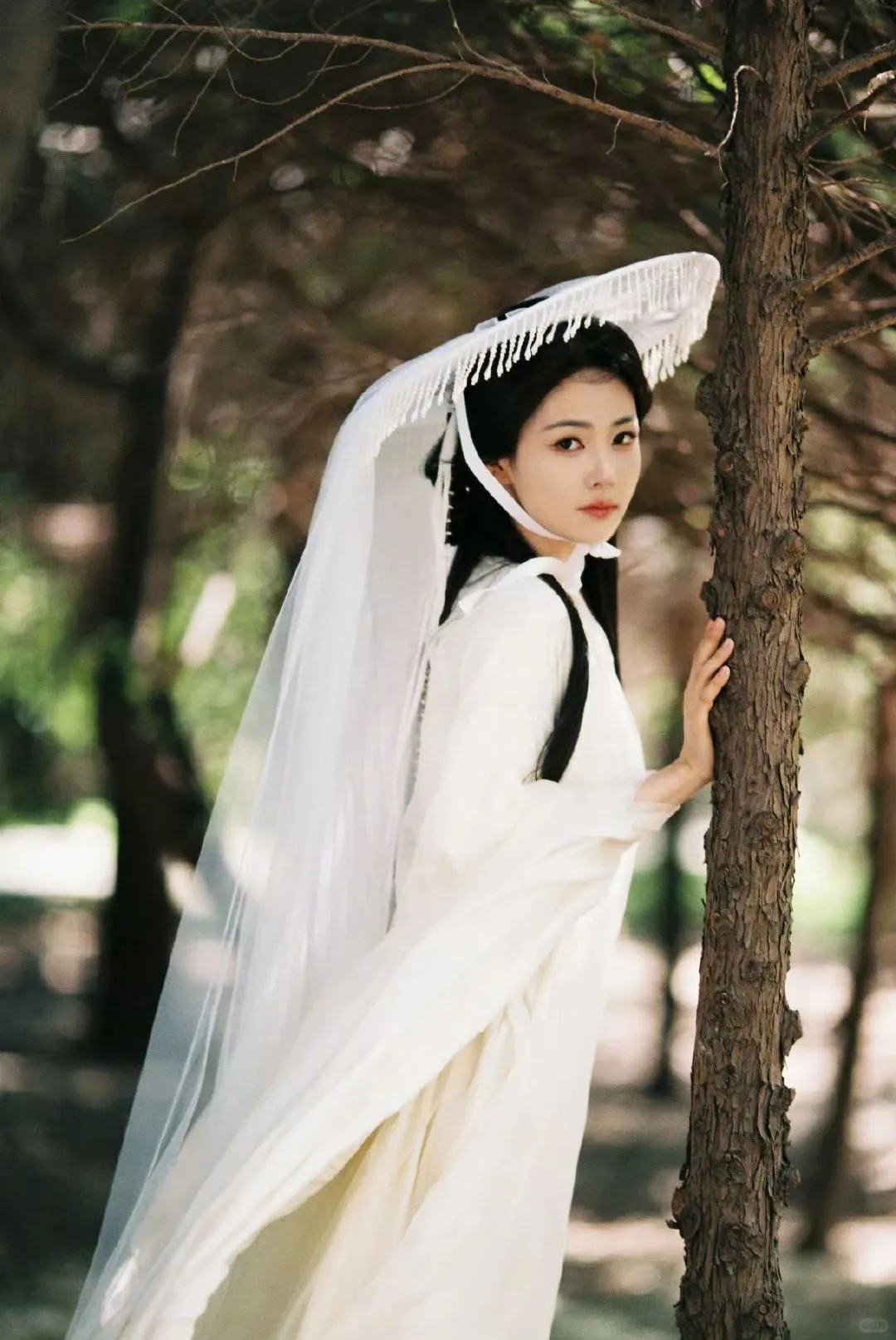 白鹿当贵女