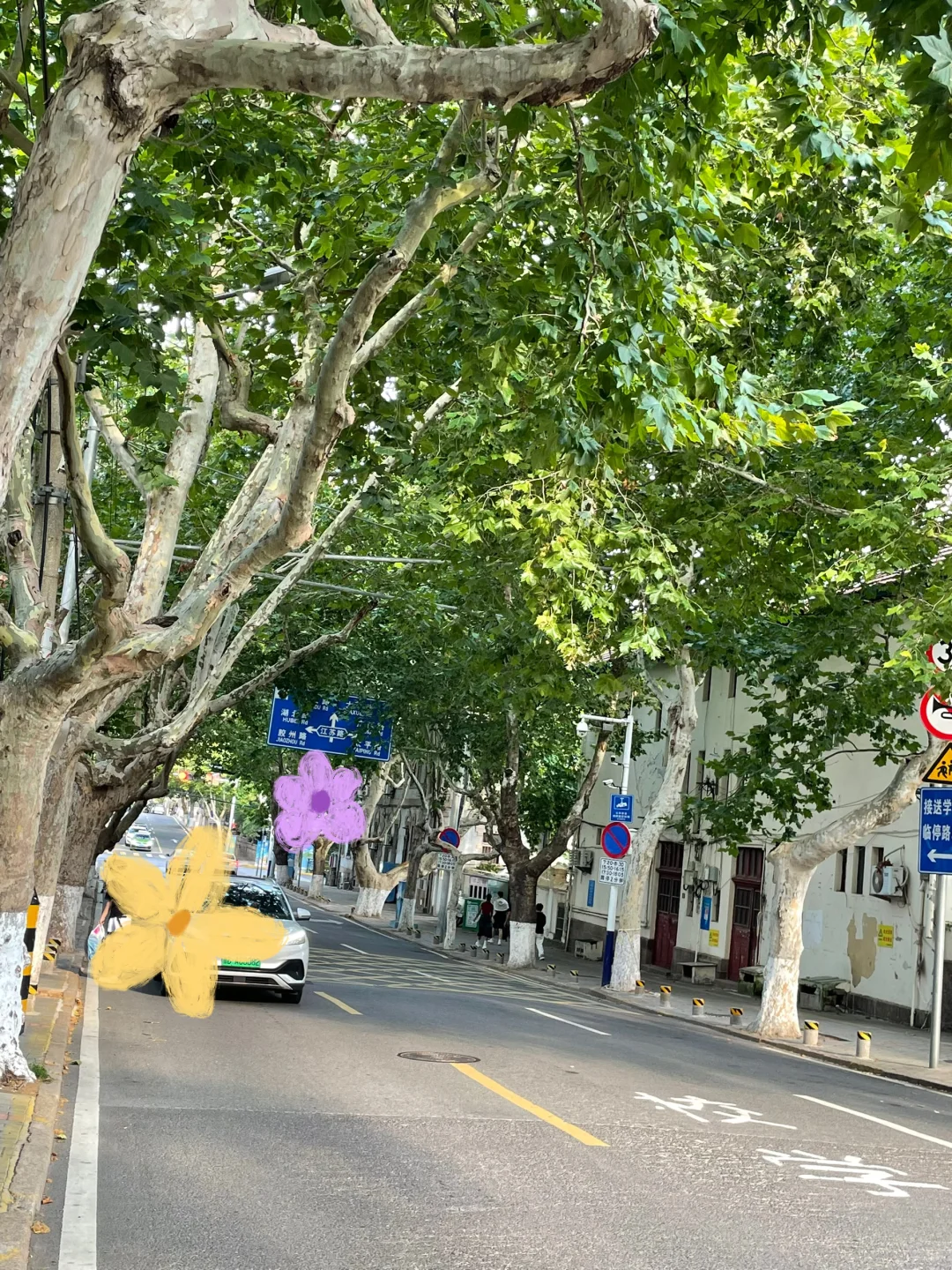 🌟【市南黄金地段】湖南路稀缺房源！步行2分钟