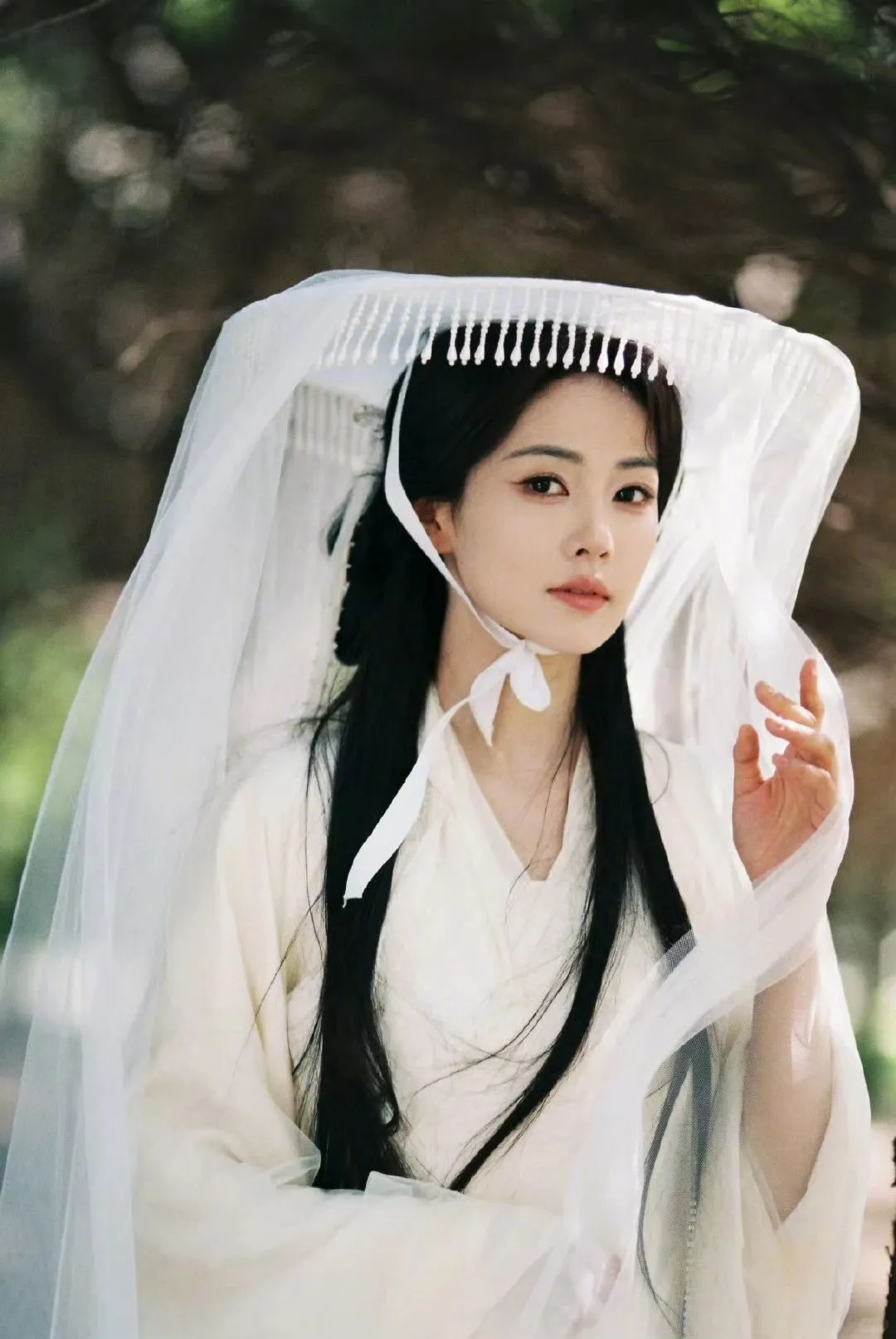 白鹿当贵女