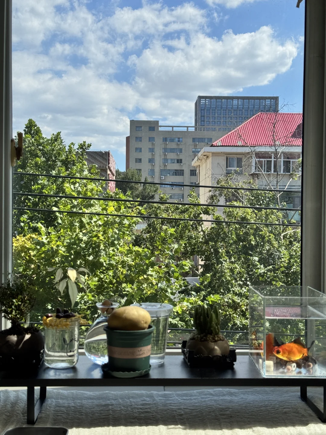 能在庄里租到这样的房子是什么感觉🏠