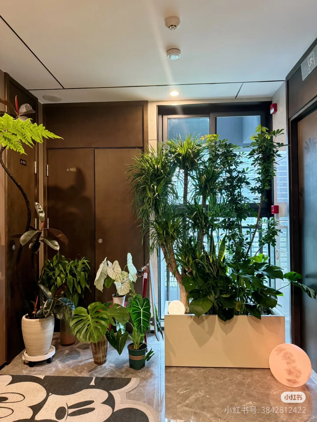 全明电梯厅🌈🌈，大家想拥有么