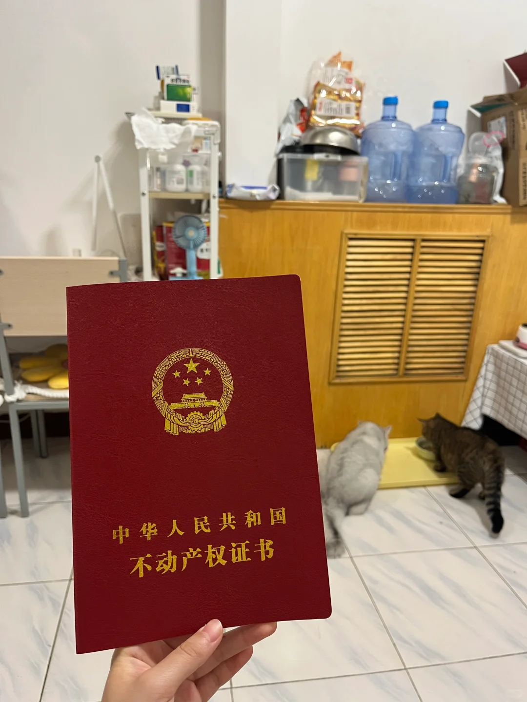 西安买房～