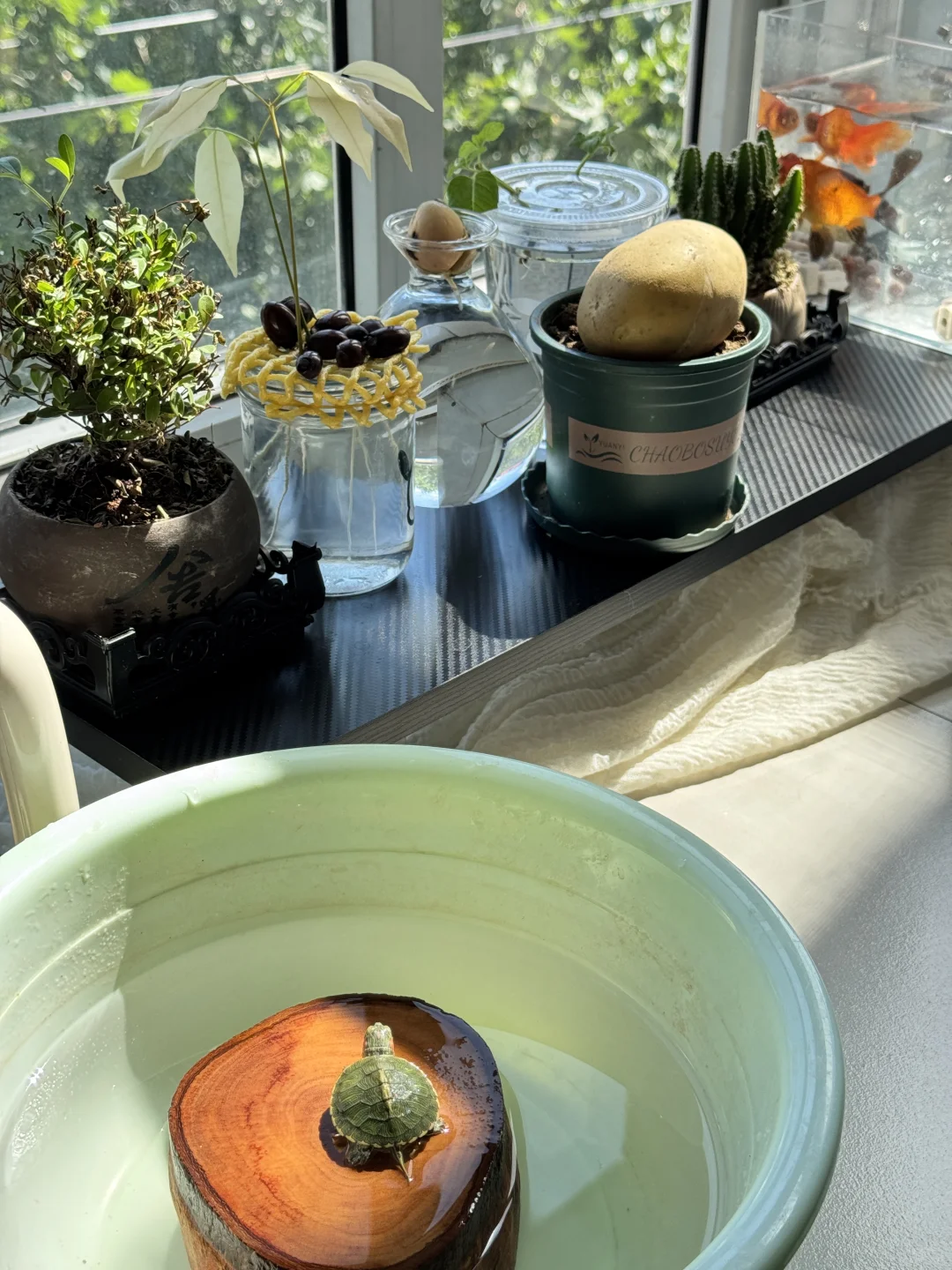 能在庄里租到这样的房子是什么感觉🏠