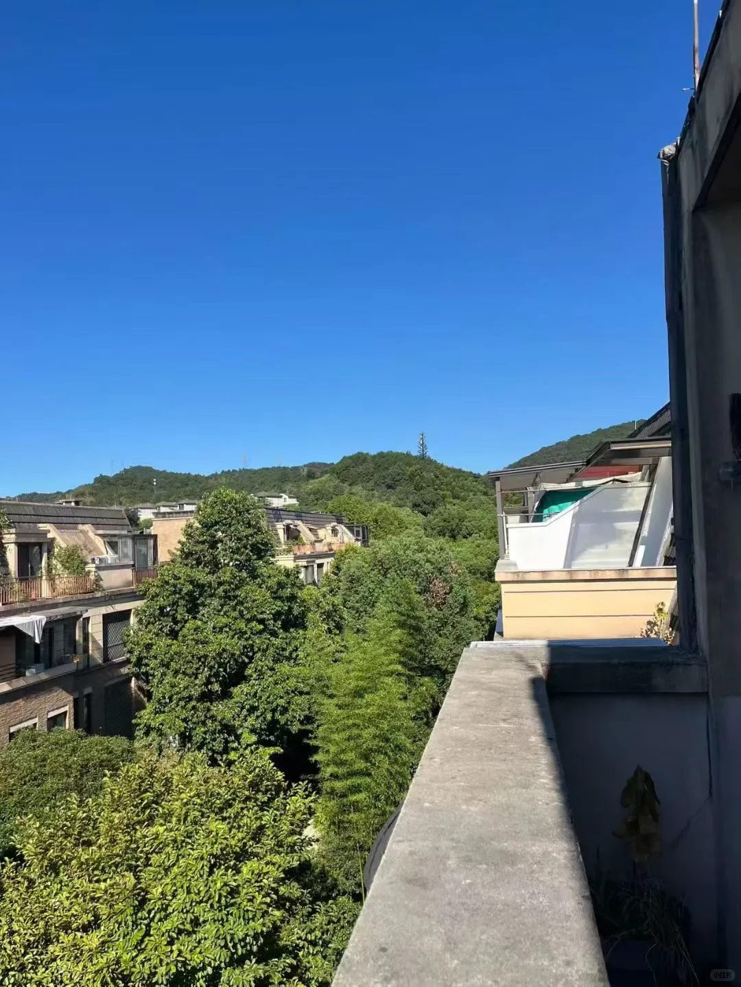 杭州新房出租｜非中介