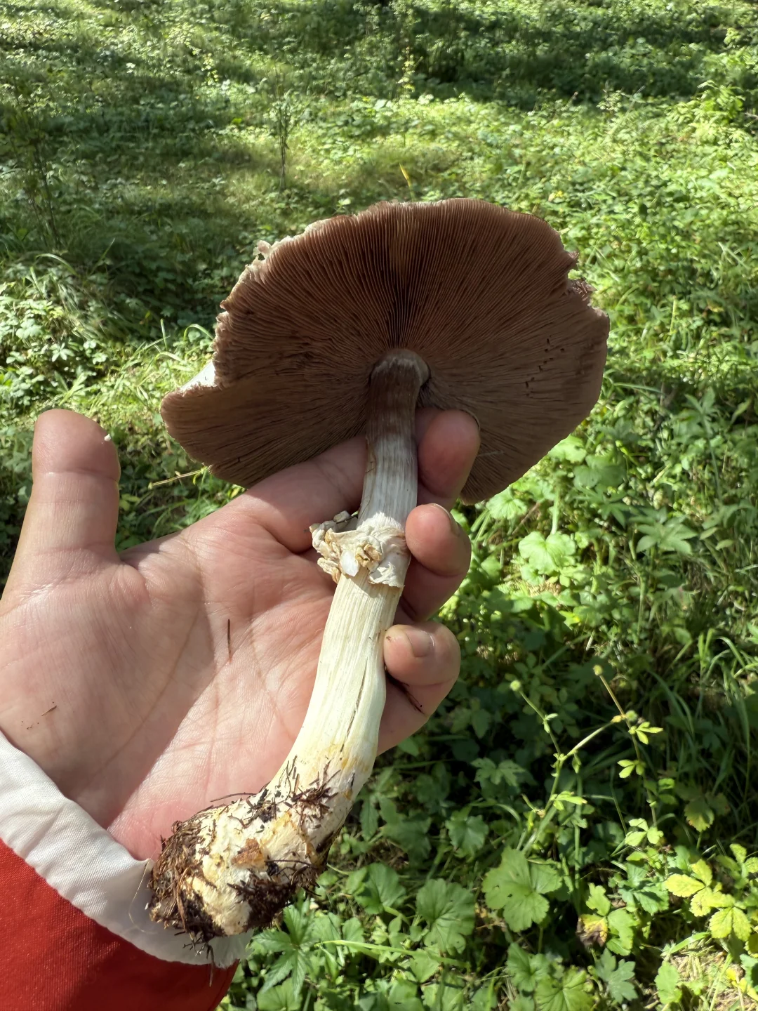 一万块的买房成本，却得到最慷慨的馈赠